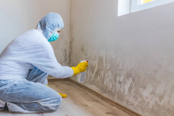 Commercial Mold Remediation assessment for commercial property in Berryville