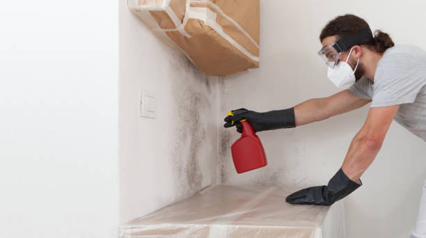 Attic Mold Remediation treatment on roof deck in Berryville